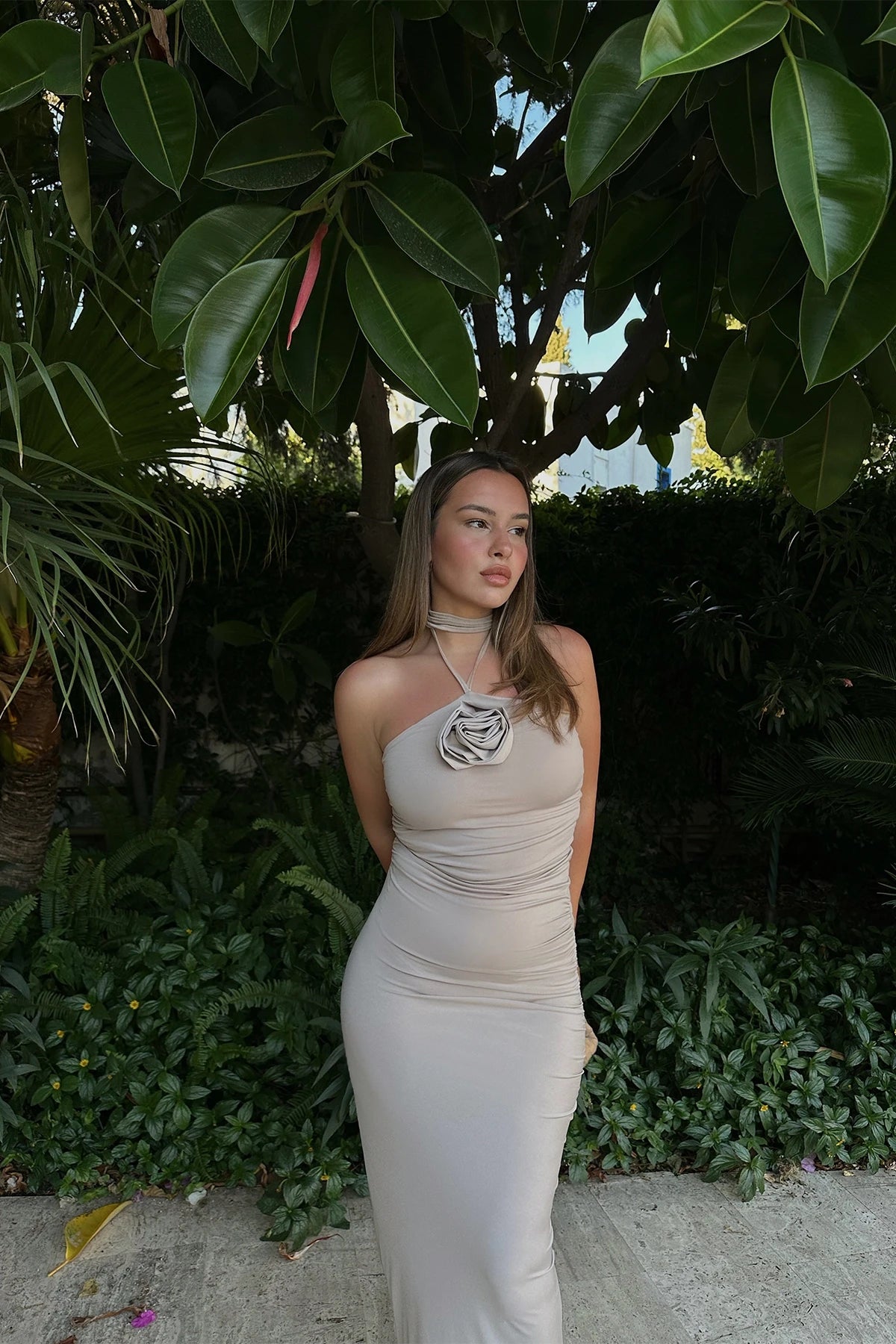 Serenity Rose